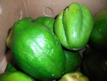 Papaya so1p 5.jpg